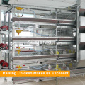 China Chicken Cage Zucht-System zum Verkauf